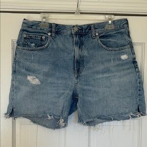 Everlane Classic Distressed Denim Shorts